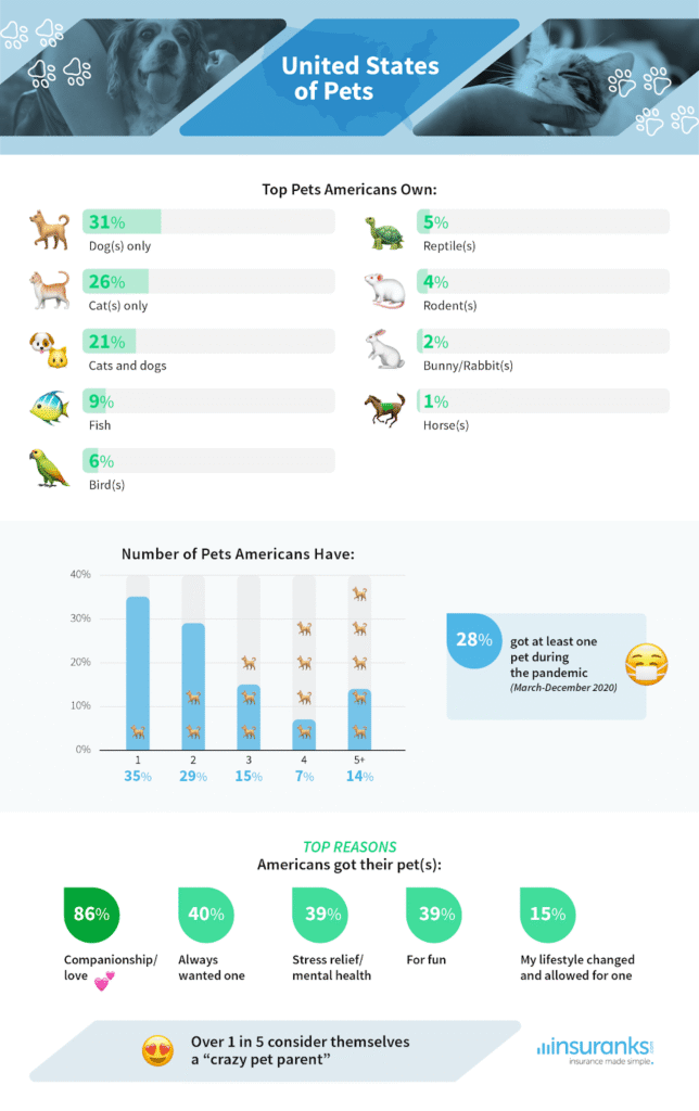 united states of pets - pampered pets - pet ownership survey